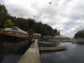 Telegraph Cove I