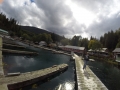 Telegraph Cove II